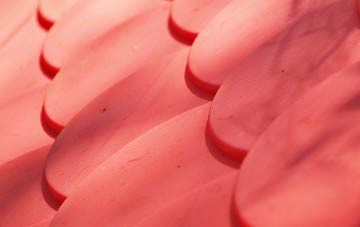 Whinmoor plastic roof costs