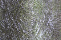 Whinmoor fibreglass roof work